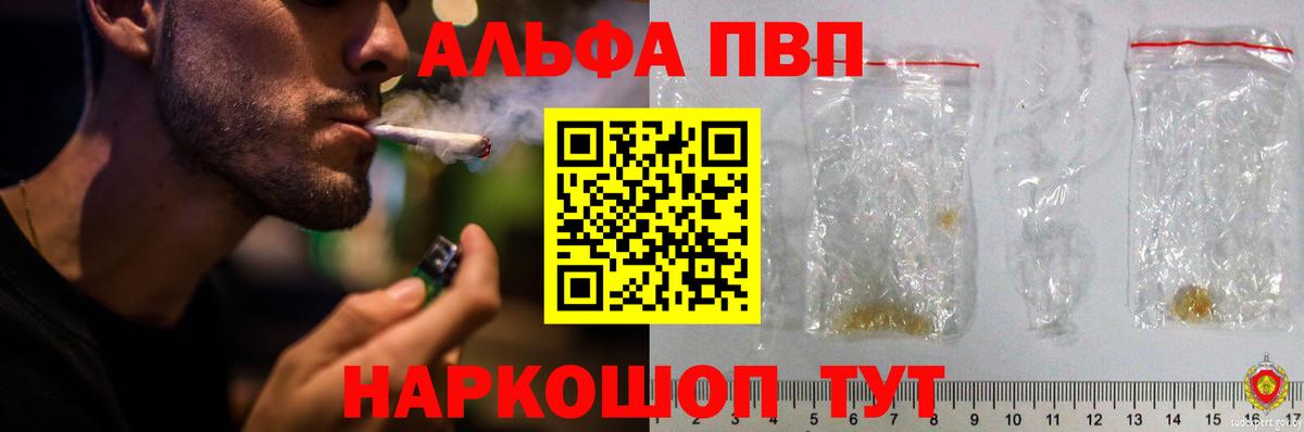 Альфа ПВП СК КРИС Элиста