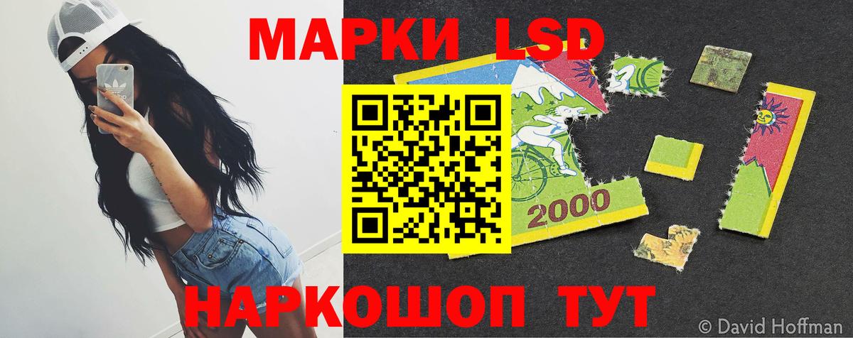 Элиста  блэк спрут рабочий сайт  Вход с VPN  LSD-25 экстази ecstasy 