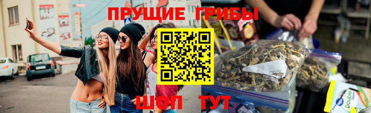 Элиста  Псилоцибиновые грибы Psilocybine cubensis  Псилоцибиновые грибы Cubensis  Вход с VPN 