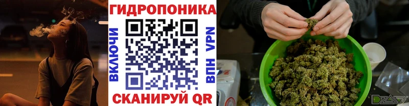 МЕГА как войти  Элиста  Каннабис план 